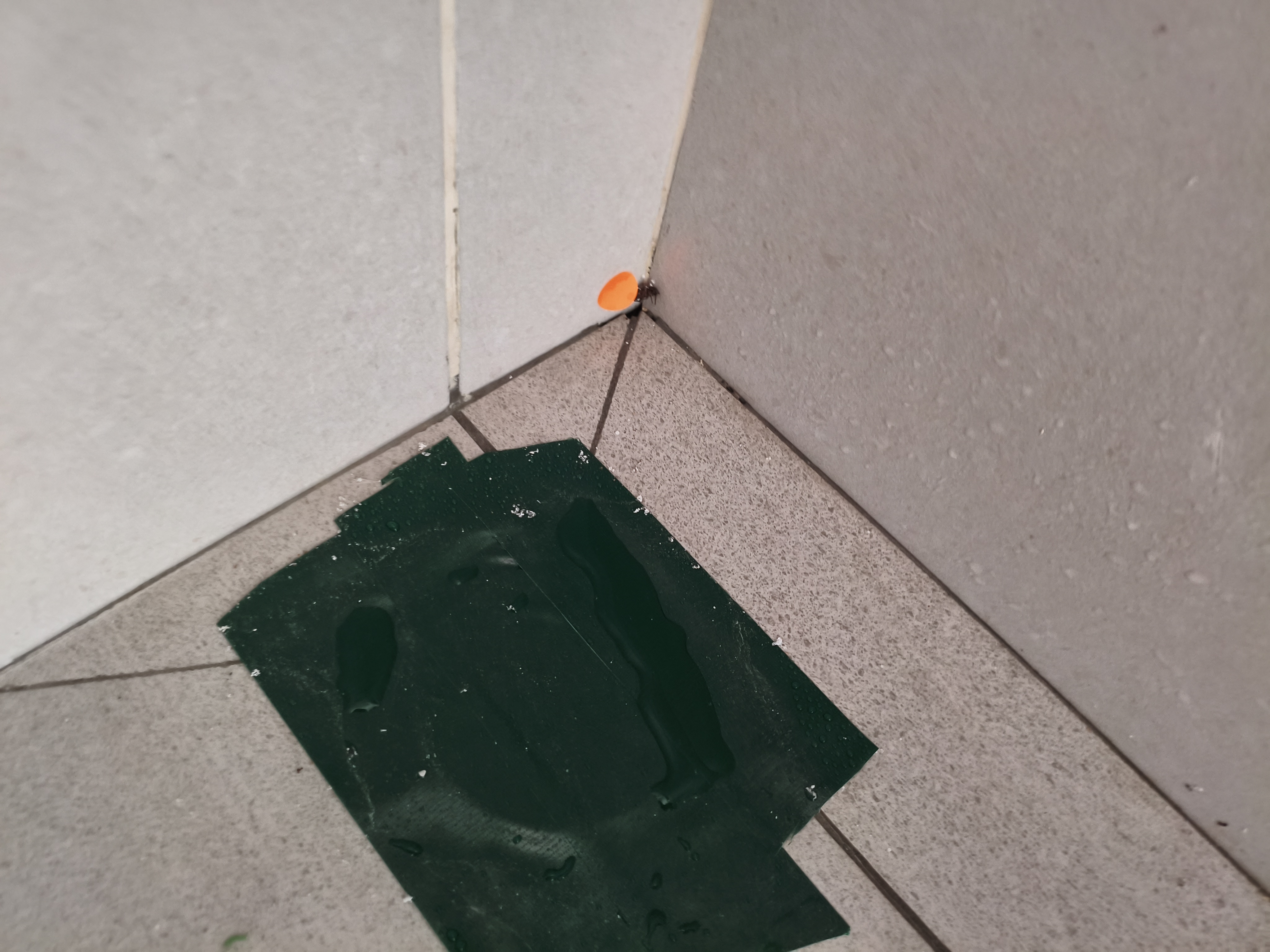 Bathroom water ponding test due to poor floor gradient